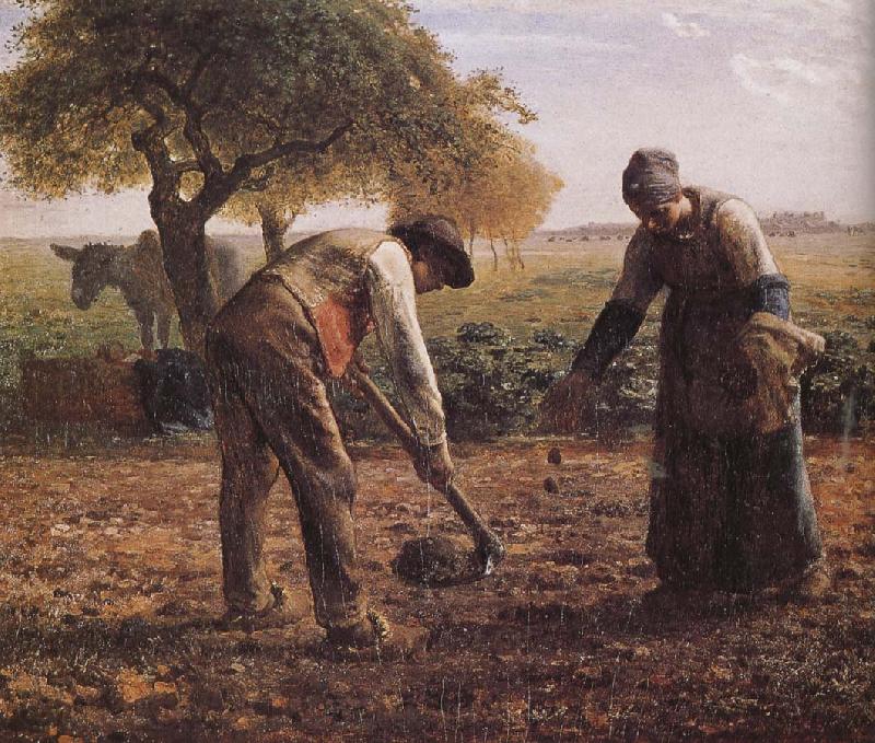 Jean Francois Millet Sower Spain oil painting art